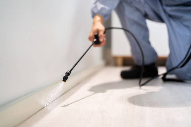 Bed Bug Pre-Treatment Preparation Assessment in Mojave